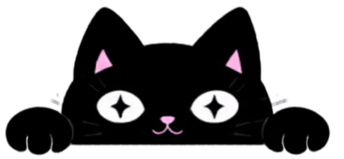 Black Cat