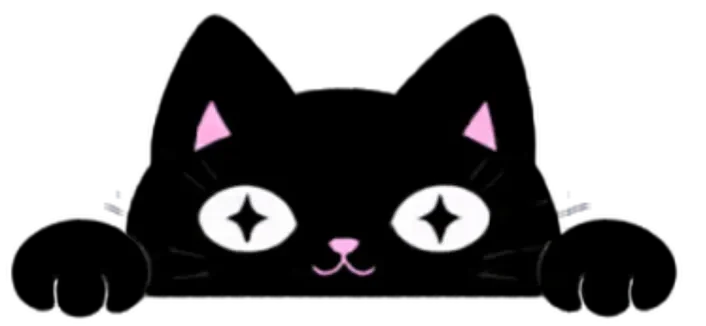 Black Cat